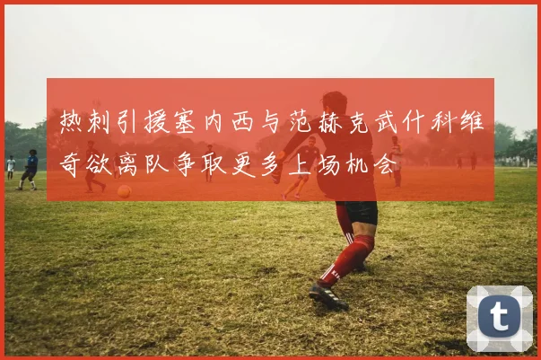 热刺引援塞内西与范赫克武什科维奇欲离队争取更多上场机会