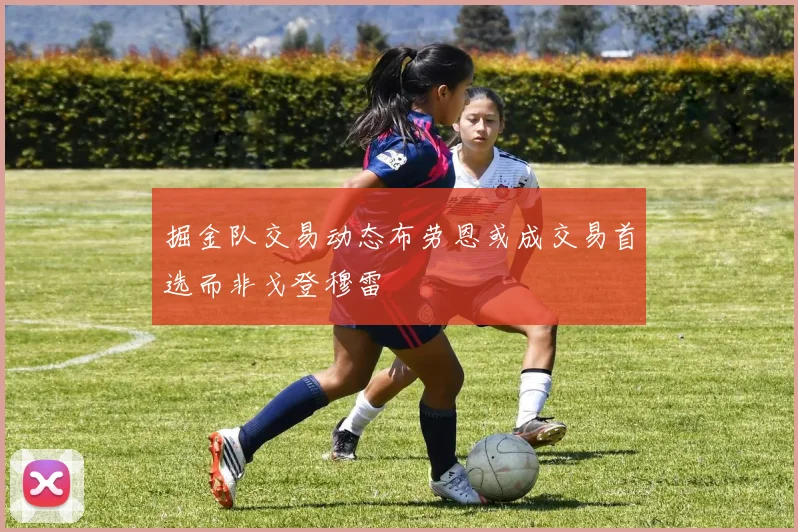掘金队交易动态布劳恩或成交易首选而非戈登穆雷