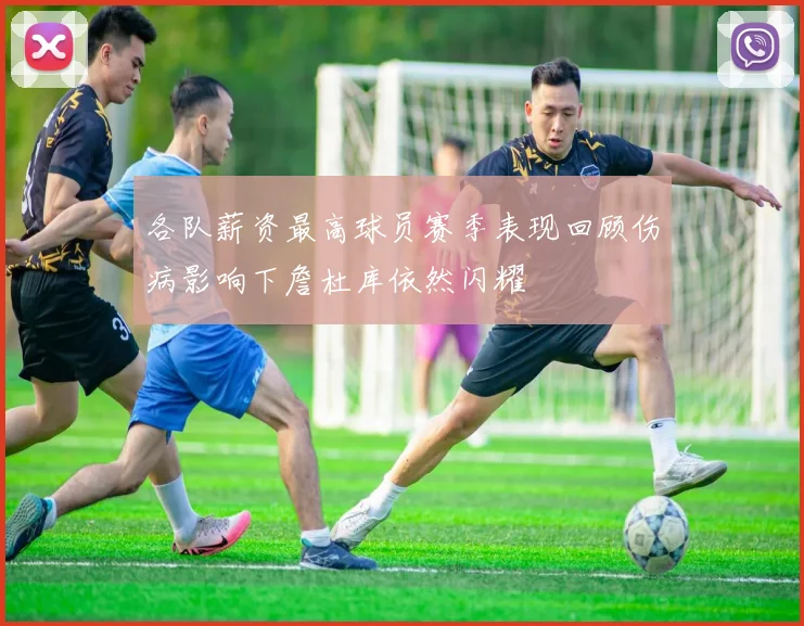 各队薪资最高球员赛季表现回顾伤病影响下詹杜库依然闪耀